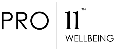 Pro11-logo Pro11-logo